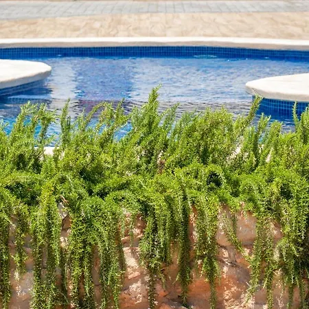 Con Solarium En Jardines De Montesolana Apartament Alicante