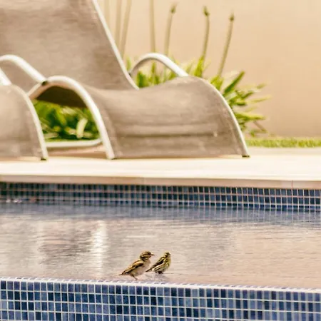 Con Solarium En Jardines De Montesolana