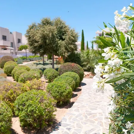 Apartament Con Solarium En Jardines De Montesolana Alicante